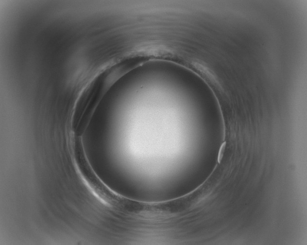 X0000083060630200702091505