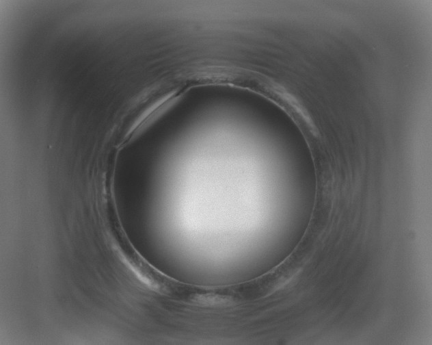 X0000083060633200702091505