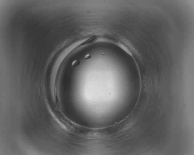 X0000083060634200702091505
