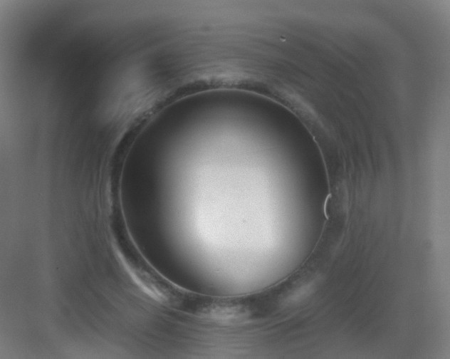 X0000083060638200702091505