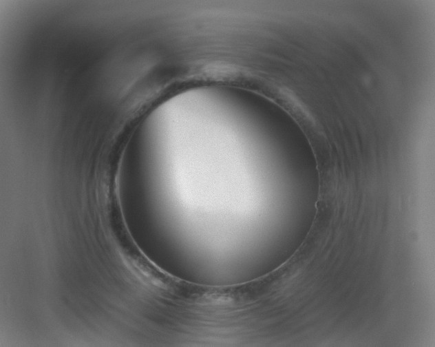 X0000083060640200702091505