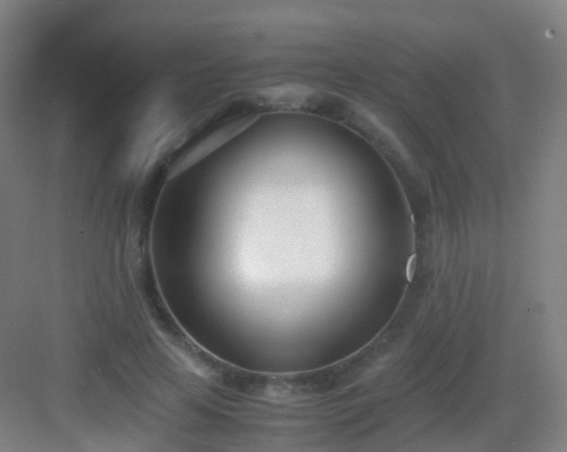 X0000083060641200702091505