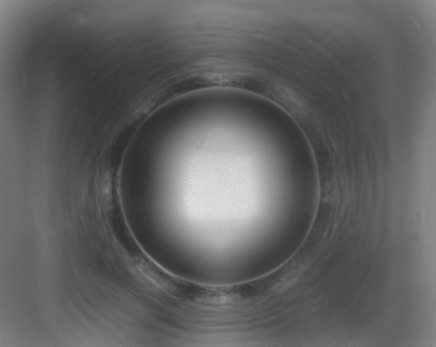 X0000083060646200702091505