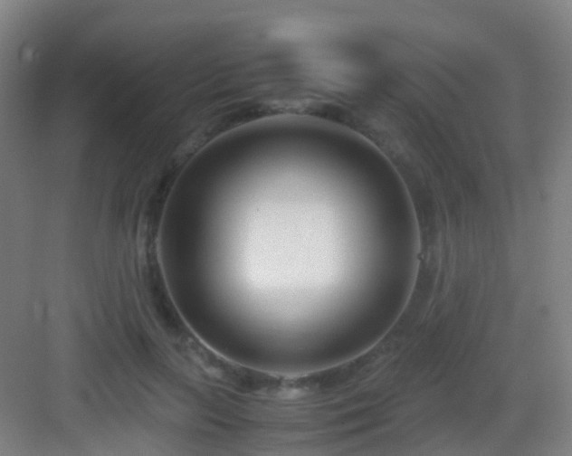 X0000083060647200702091505