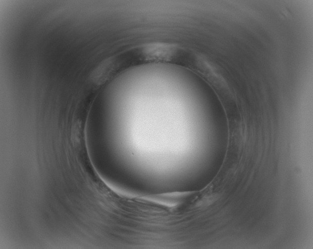X0000083060649200702091505
