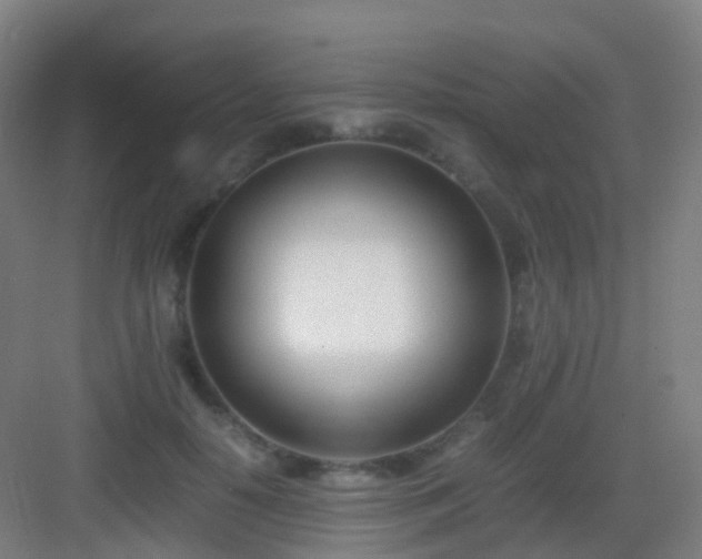 X0000083060650200702091505