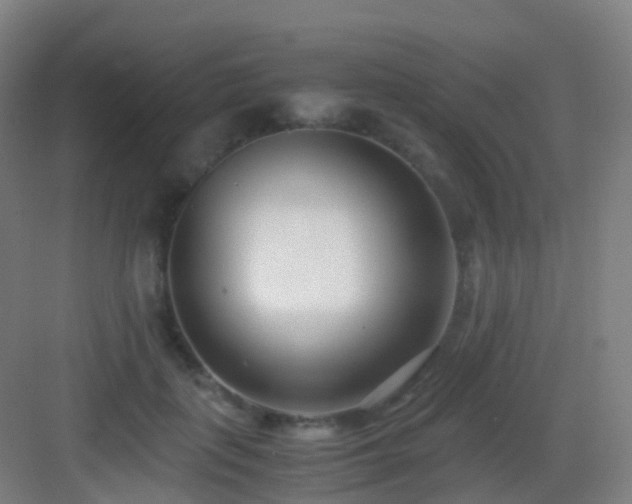 X0000083060651200702091505