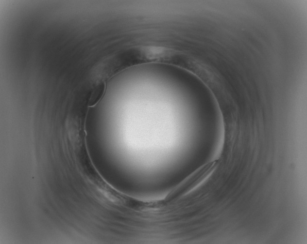 X0000083060653200702091505