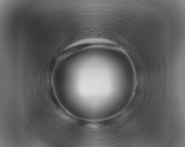 X0000083060654200702091505