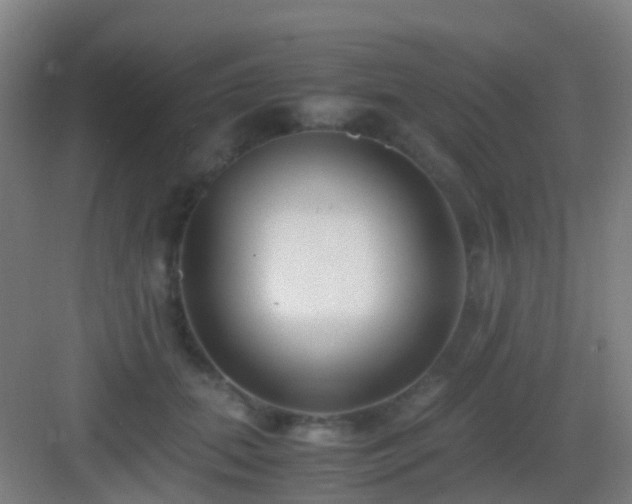X0000083060655200702091505