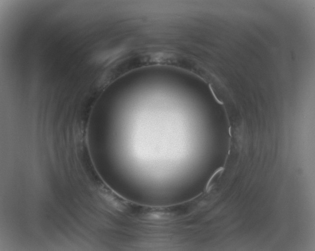 X0000083060657200702091505