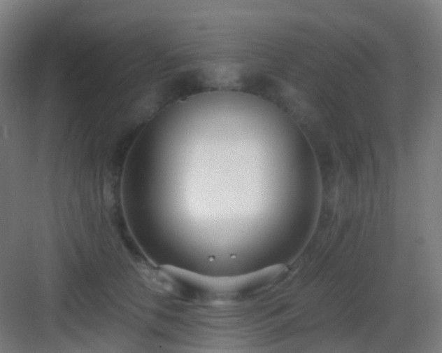 X0000083060658200702091505