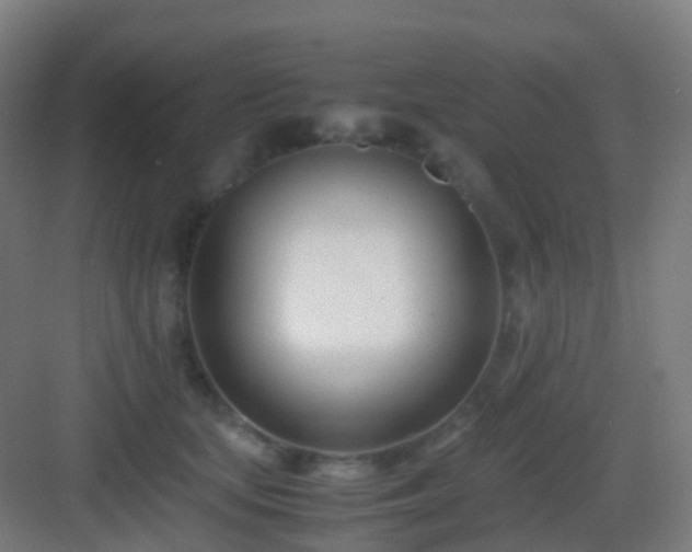 X0000083060659200702091505