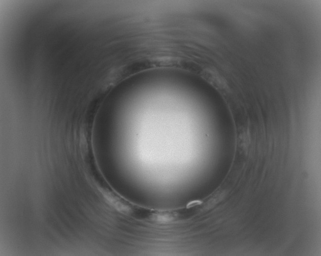 X0000083060662200702091505