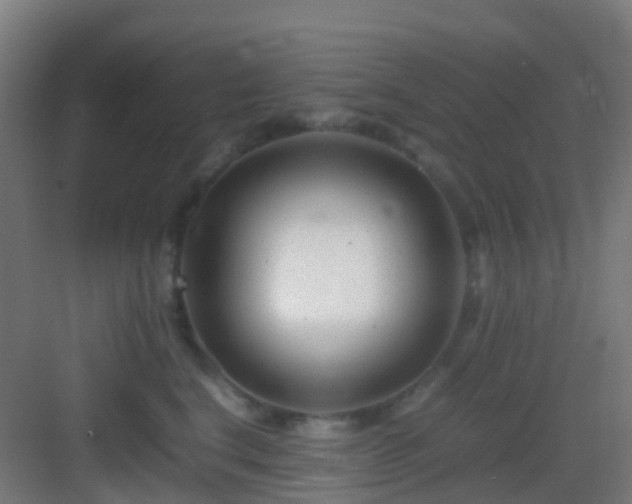 X0000083060664200702091505