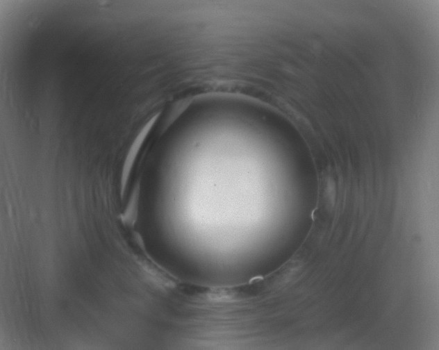 X0000083060668200702091506