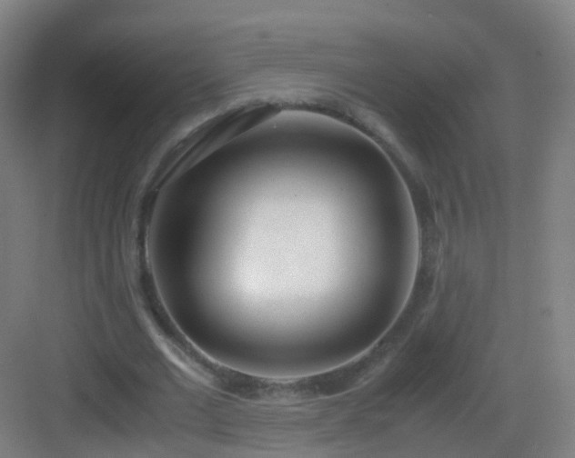 X0000083060677200702091505