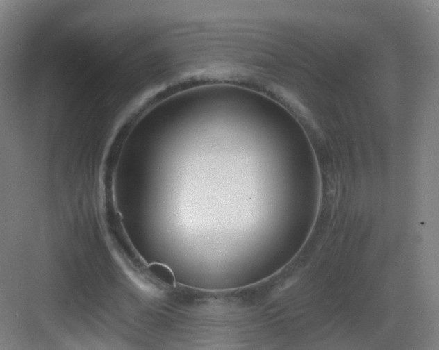 X0000083060678200702091505