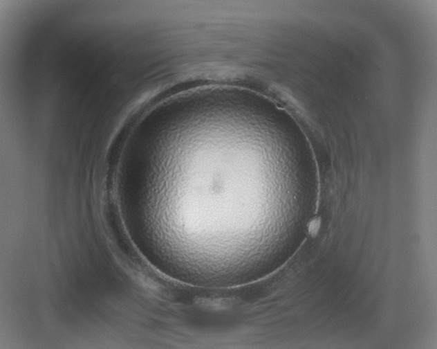 X0000083060679200702091505