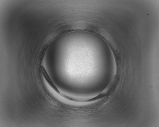 X0000083060681200702091505