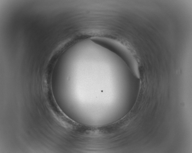 X0000083060688200702091505
