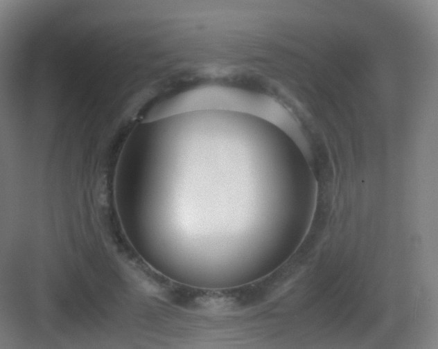 X0000083060689200702091505