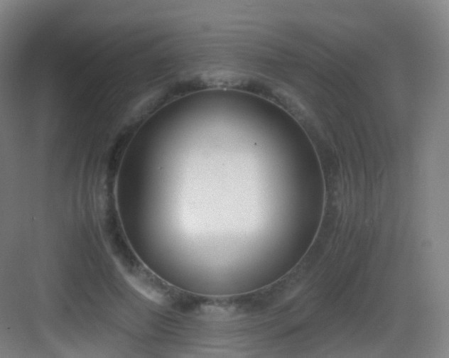 X0000083060690200702091504
