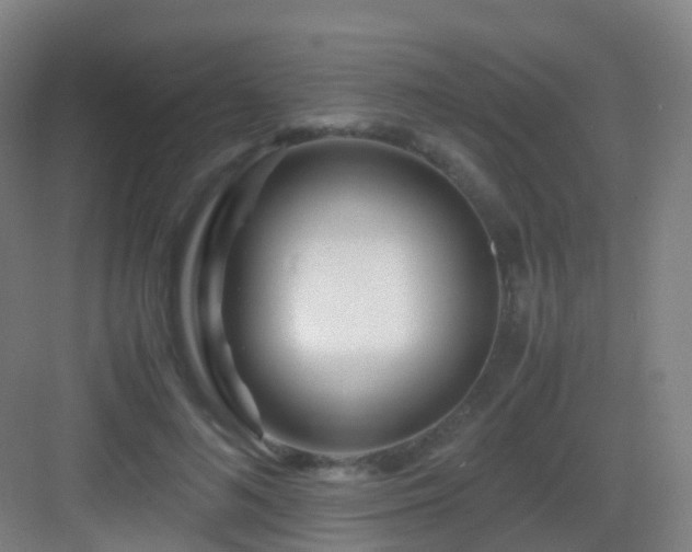X0000083060692200702091504