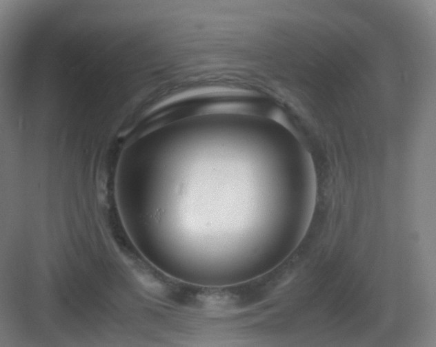 X0000083060693200702091504