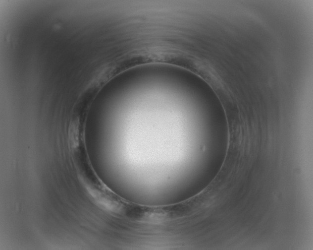 X0000083060694200702091504