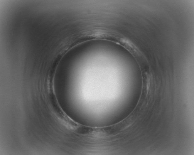 X0000083060696200702091504