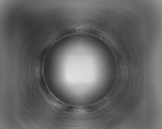X0000083060698200702091504