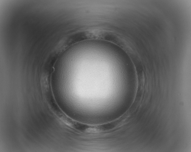 X0000083060699200702091504