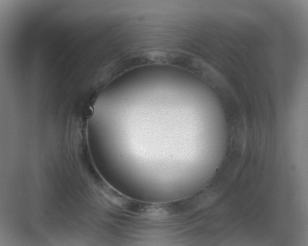 X0000083060702200702091504