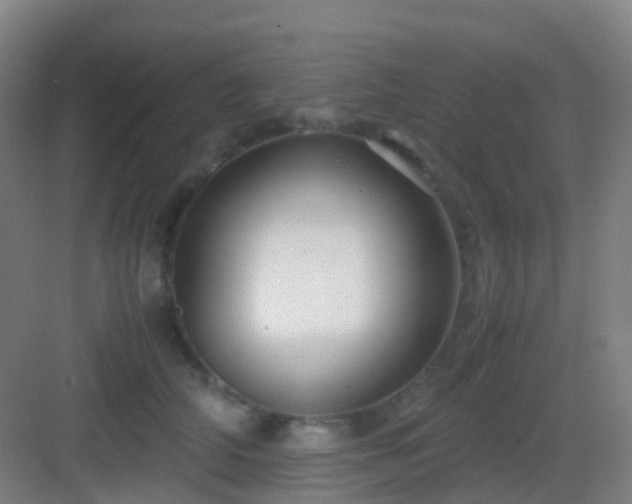 X0000083060706200702091504