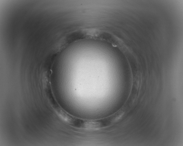 X0000083060707200702091504