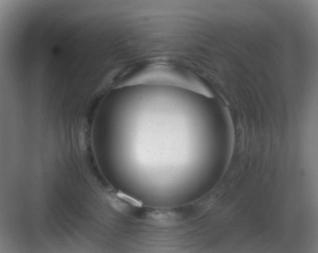 X0000083060712200702091504