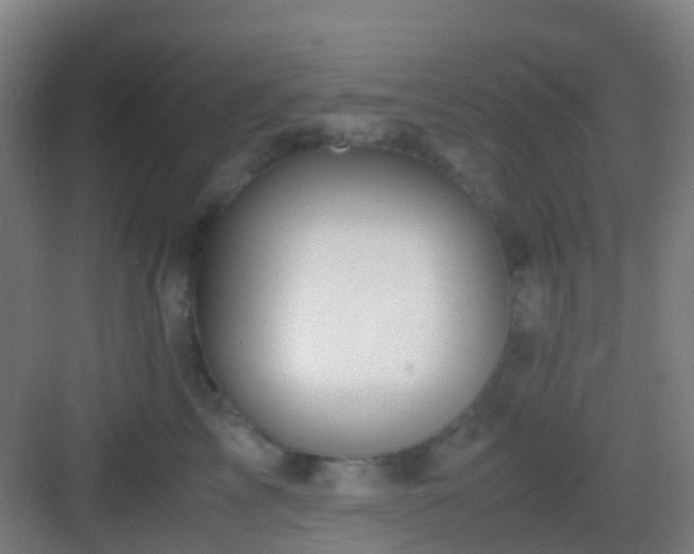X0000083060713200702091504