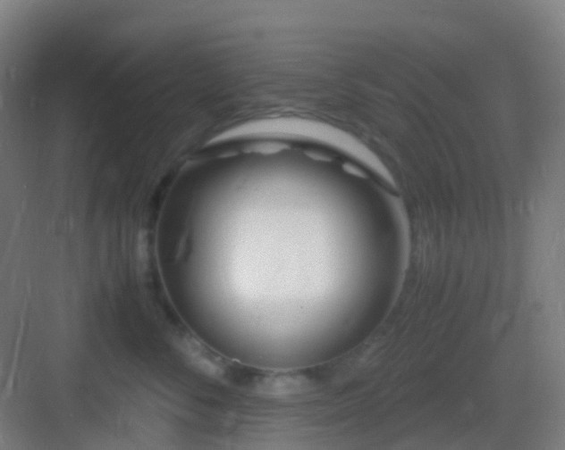 X0000083060716200702091504