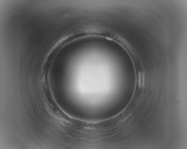 X0000083060723200702091503