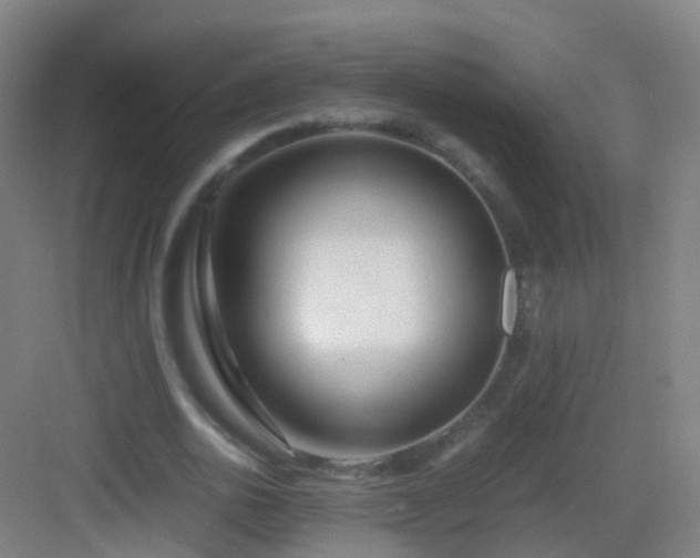 X0000083060726200702091503