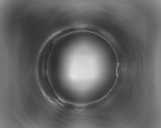 X0000083060728200702091503