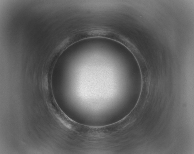 X0000083060729200702091503