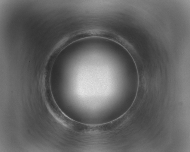 X0000083060730200702091503