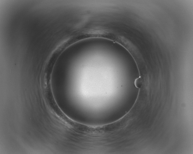 X0000083060731200702091503