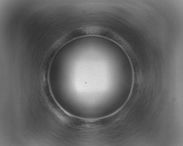 X0000083060733200702091503