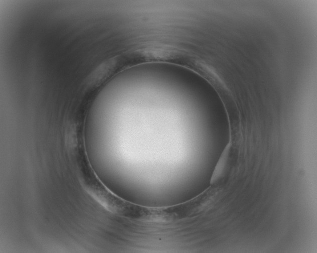 X0000083060738200702091503