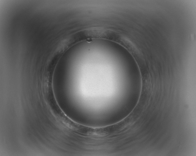 X0000083060739200702091503