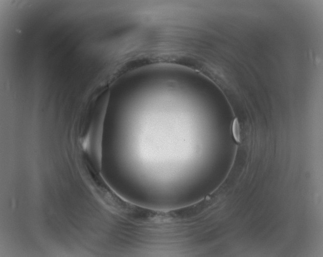 X0000083060742200702091504