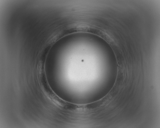 X0000083060744200702091504
